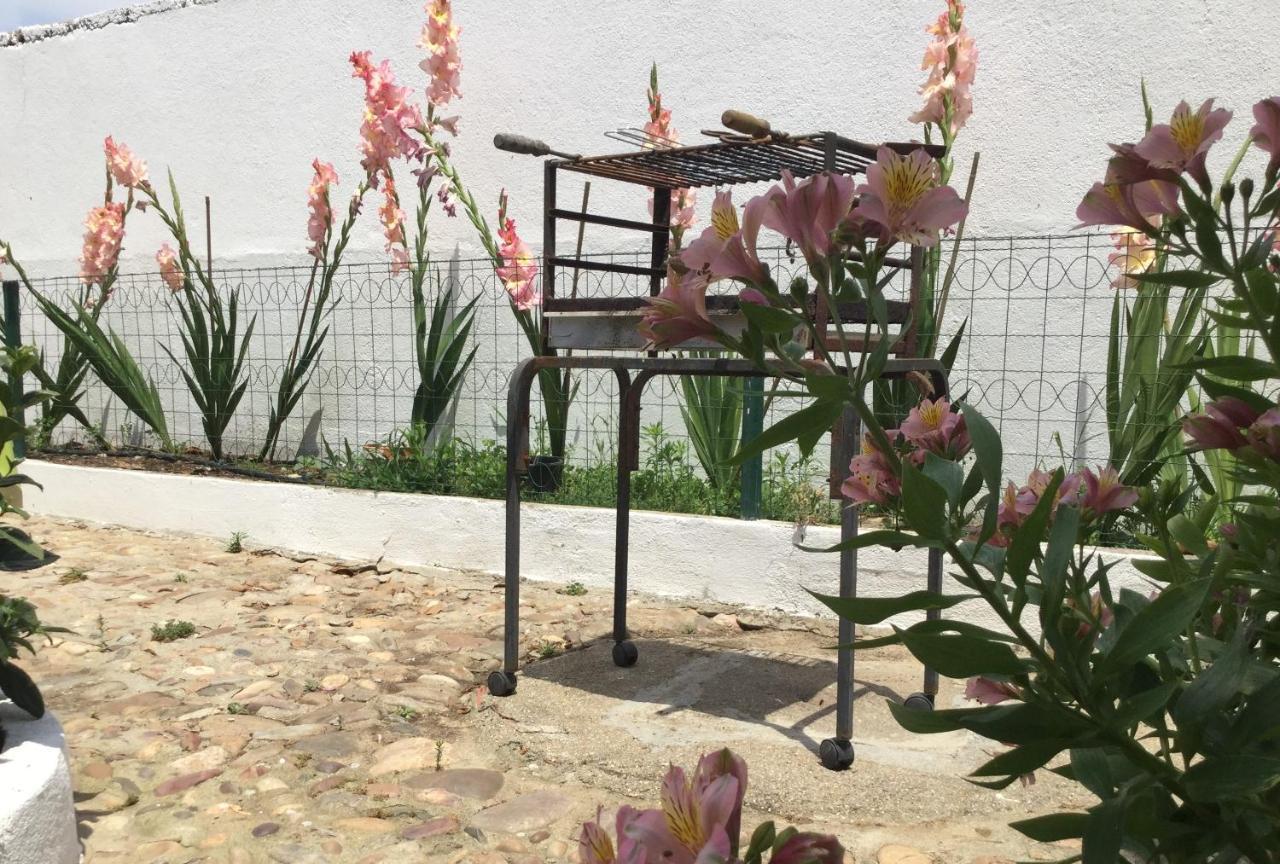 Amendoeirashouse-Sustainableliving Bed & Breakfast Abrantes Exterior photo