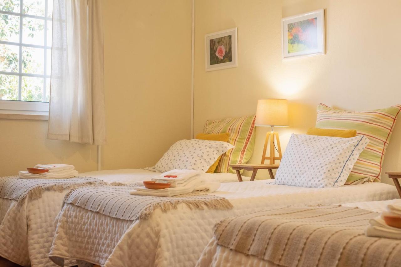 Amendoeirashouse-Sustainableliving Bed & Breakfast Abrantes Exterior photo
